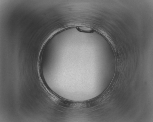 X0000076051187200610061502