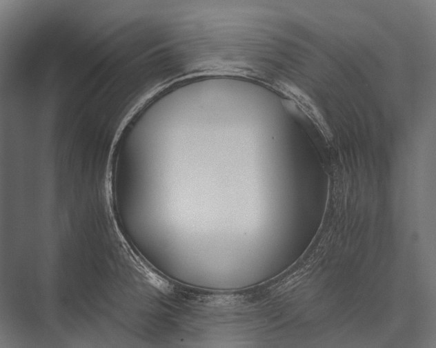 X0000076051188200610061502