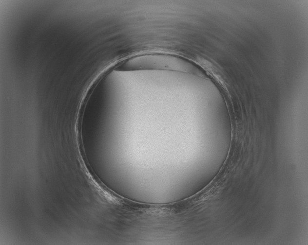 X0000076051189200610061502