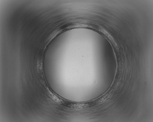 X0000076051193200610061502