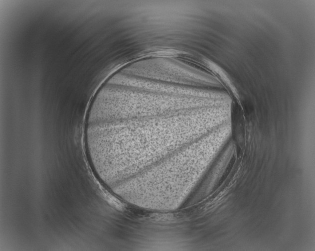 X0000076051194200610061502