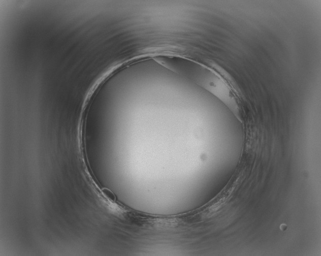 X0000076051196200610061502