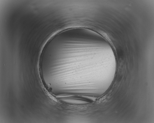 X0000076051197200610061502