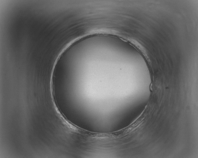 X0000076051199200610061502