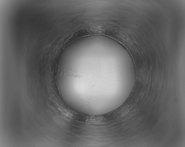 X0000076051201200610061501