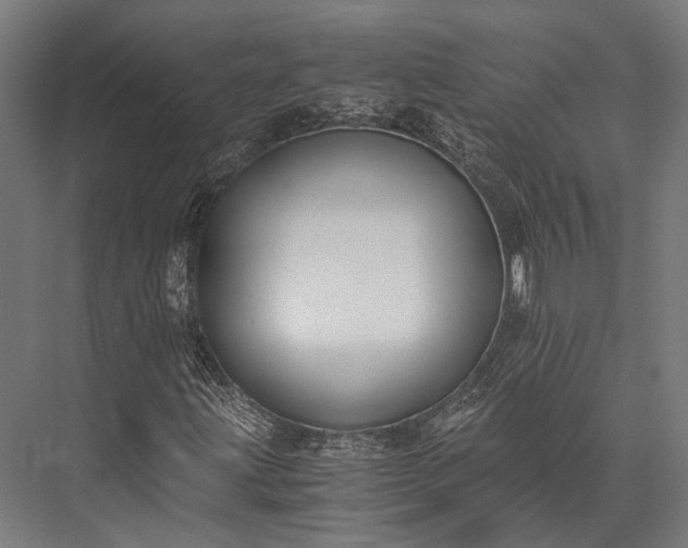 X0000076051203200610061501