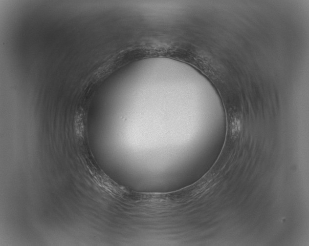 X0000076051204200610061501