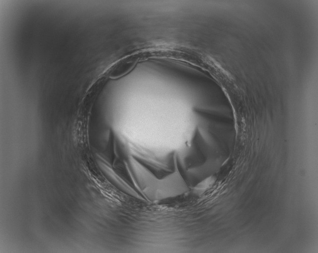 X0000076051208200610061501