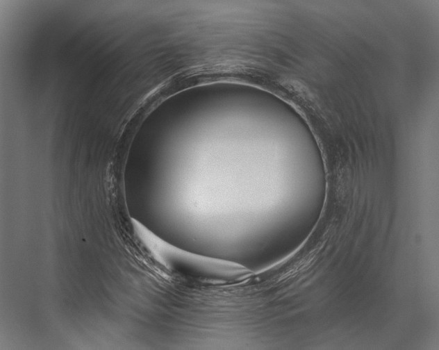 X0000076051210200610061501