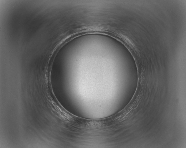 X0000076051212200610061501