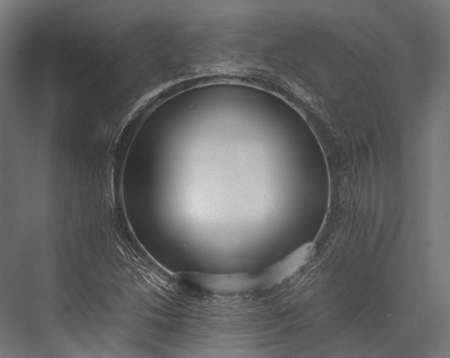 X0000076051214200610061501