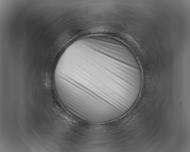 X0000076051217200610061501
