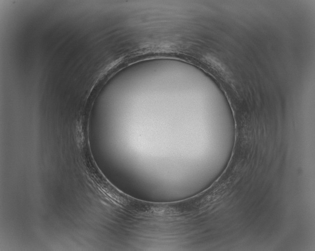 X0000076051218200610061501