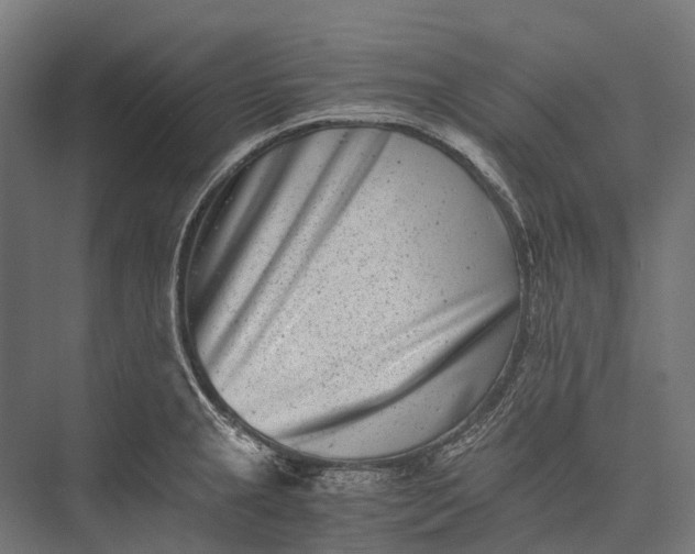 X0000076051237200610061502