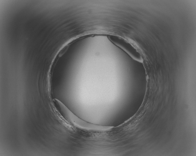 X0000076051238200610061502