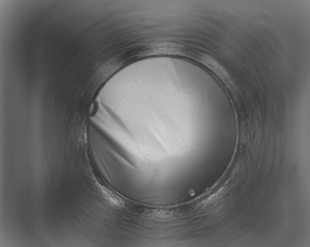 X0000076051241200610061502