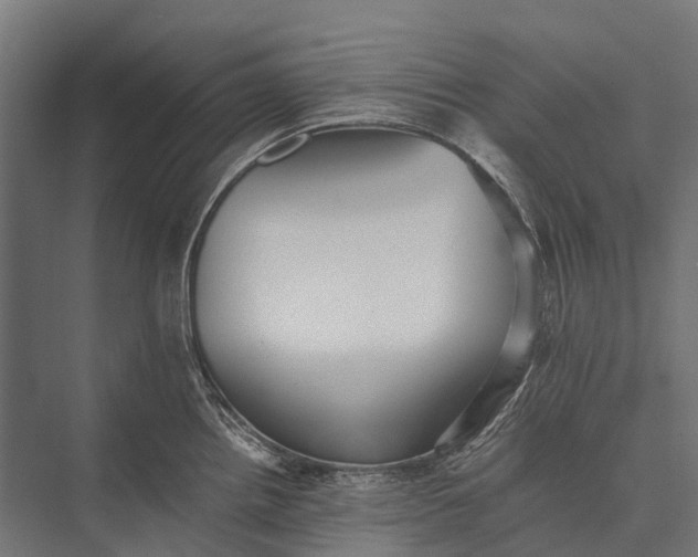 X0000076051242200610061502