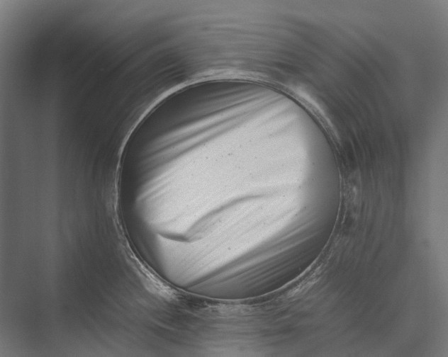 X0000076051244200610061502