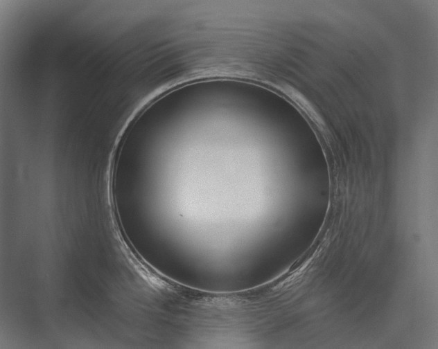 X0000076051246200610061502