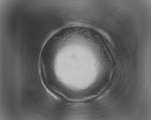 X0000076051247200610061502