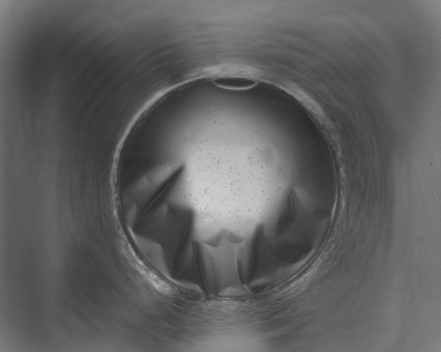 X0000076051248200610061502