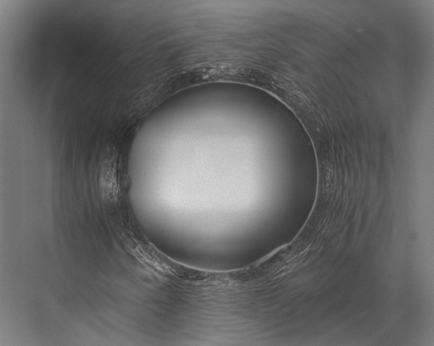 X0000076051250200610061501