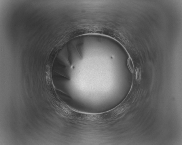 X0000076051251200610061501