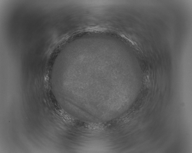X0000076051254200610061501