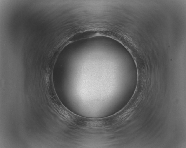 X0000076051257200610061501