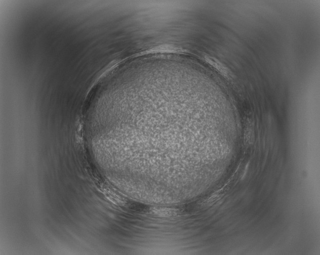 X0000076051258200610061501