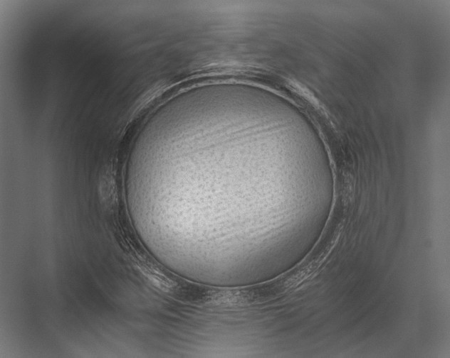 X0000076051259200610061501