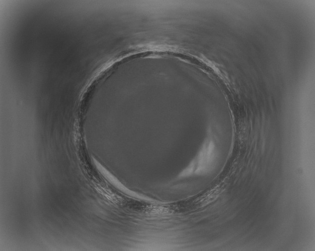 X0000076051263200610061501