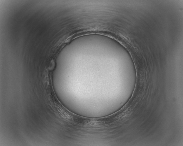 X0000076051265200610061501
