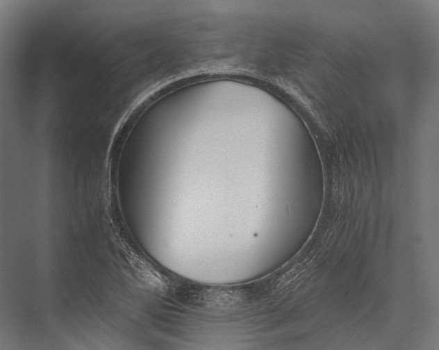 X0000076051270200610061501