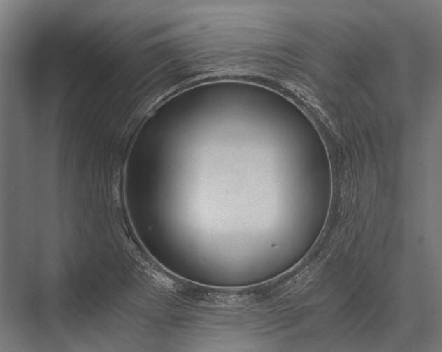 X0000076051273200610061500
