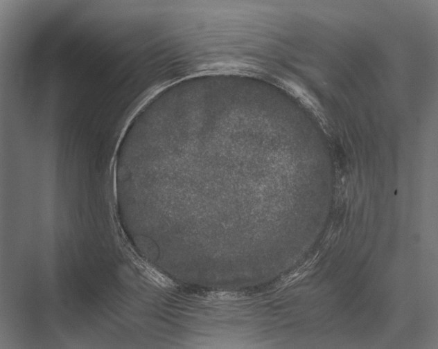 X0000076051275200610061500