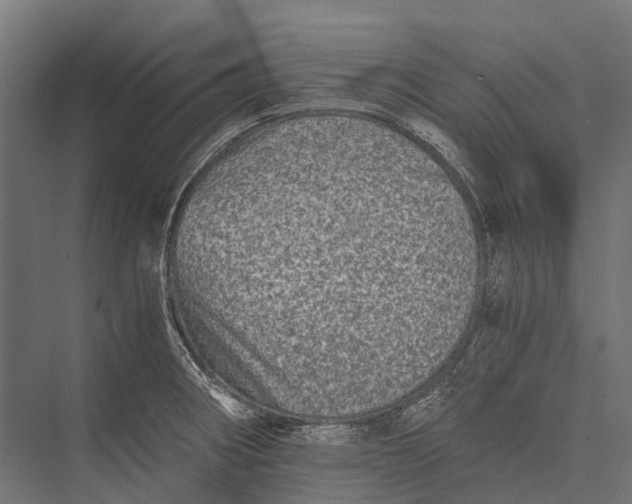 X0000076051282200610061500