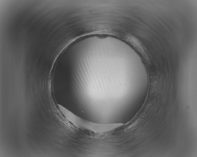X0000076051284200610061500