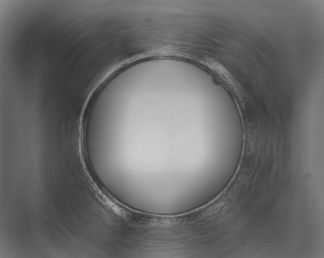 X0000076051286200610061500