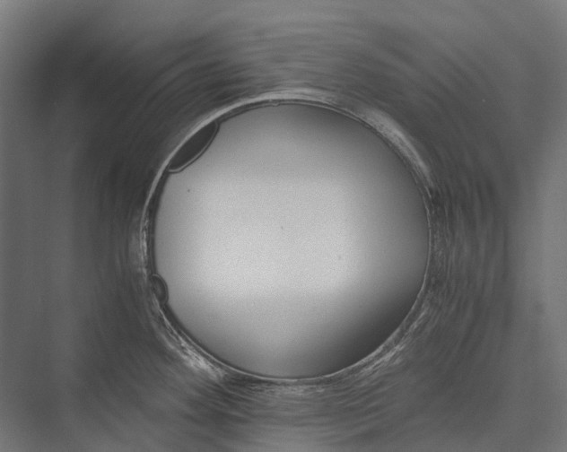 X0000076051292200610061500