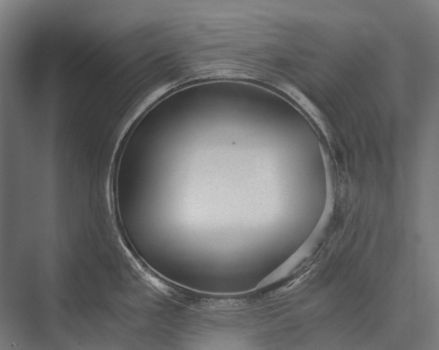 X0000076051293200610061500