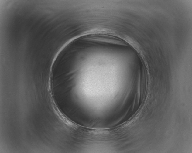 X0000076051296200610061500