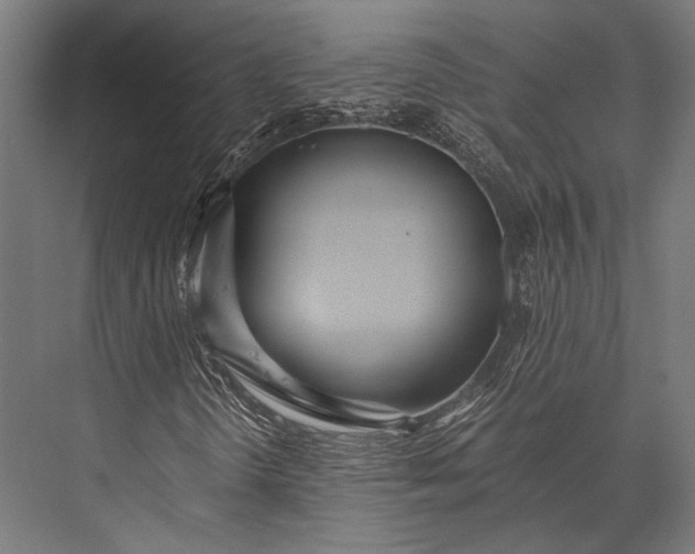 X0000076051298200610061459