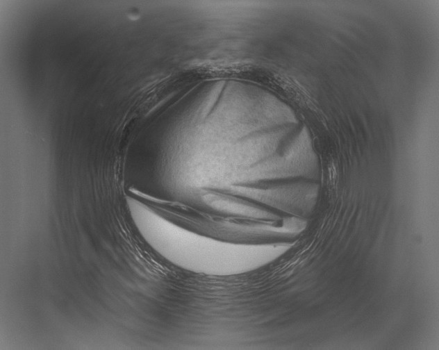 X0000076051300200610061459