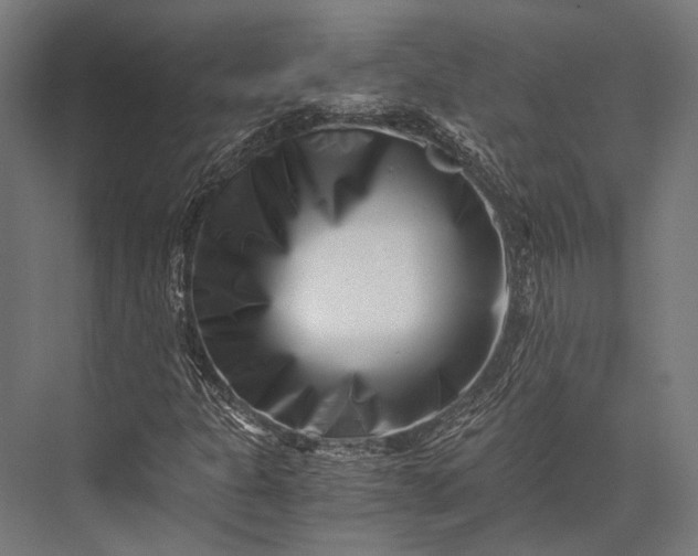 X0000076051301200610061459