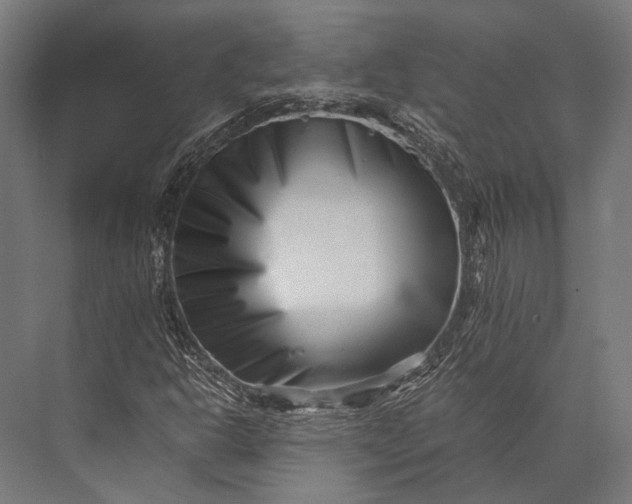 X0000076051302200610061459