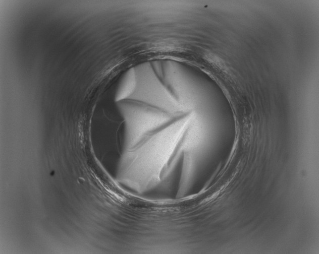 X0000076051305200610061459