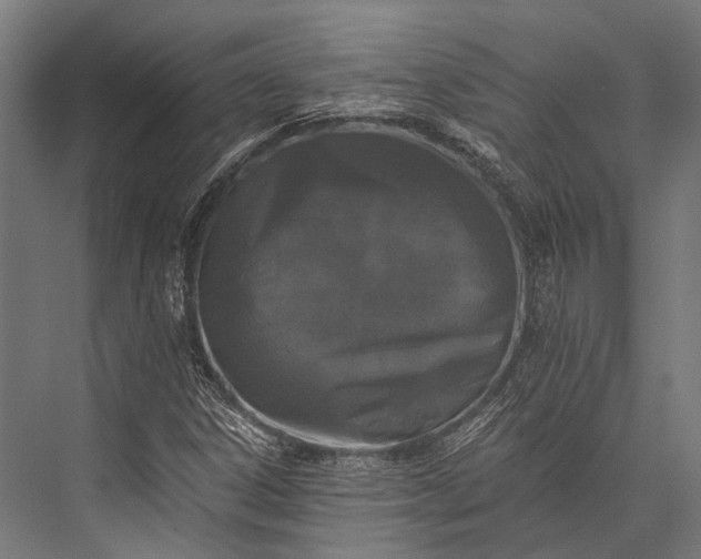 X0000076051306200610061459