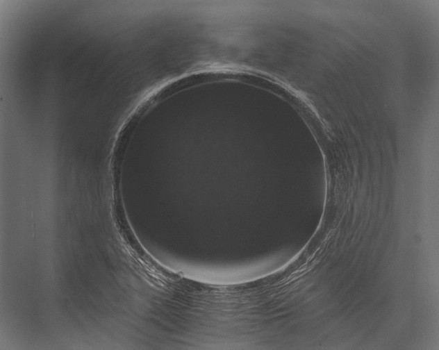 X0000076051319200610061500
