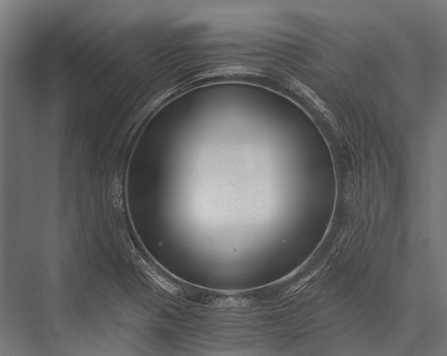 X0000076051321200610061500